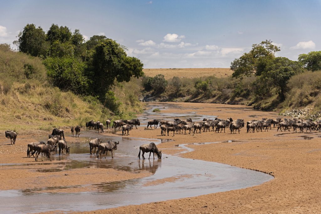 A view of R. Telek Sand Zones